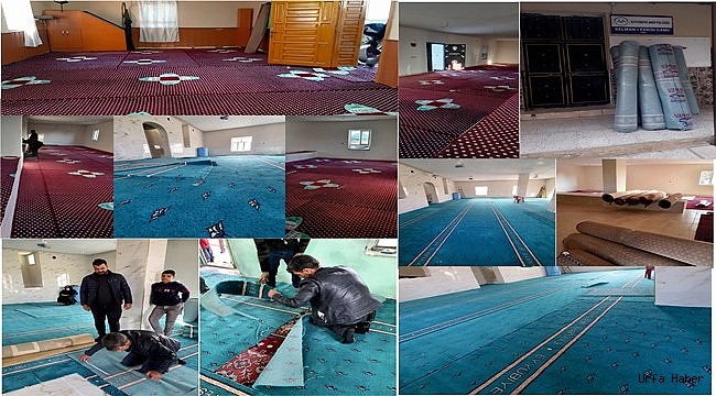 Eyyübiye Belediyesi Talepleri Bir Bir Yerine Getiriyor.