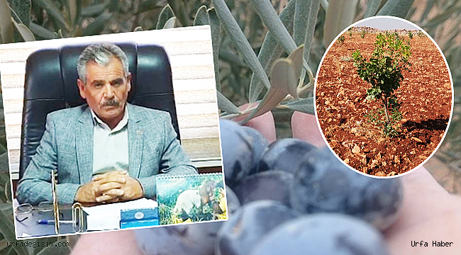 Tarımda projeler için talep toplanıyor
