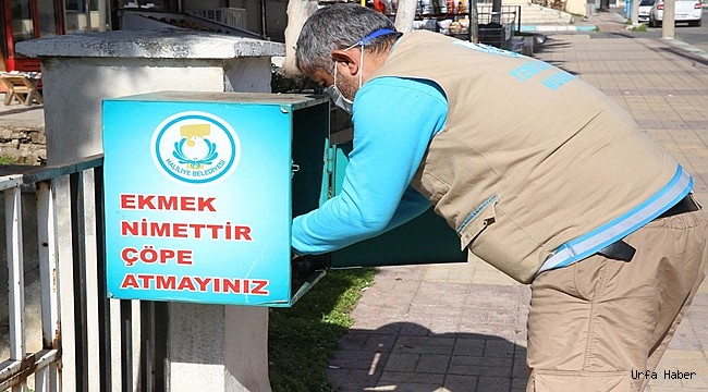 Haliliye Belediyesi, Aylık 15 Ton Ekmek İsrafını Önlüyor
