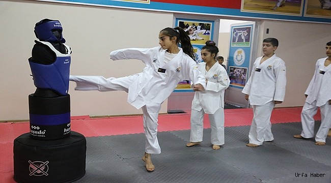 Haliliye Belediyesi, Lisanslı Sporcular Yetiştiriyor