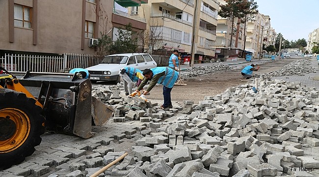 Haliliye Belediyesinden 5 Mahallede  Yol Çalışması