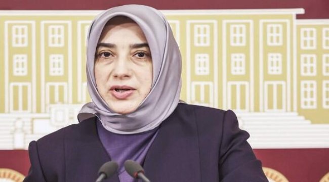 Özlem Zengin’e saldırıya her kesimden tepki yağdı