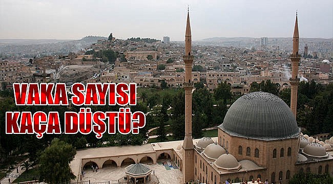 Şanlıurfa'da sevindiren gelişme!