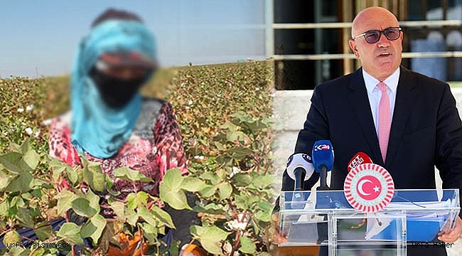 Tanal'dan tarım işçisi çocuklar için kanun teklifi