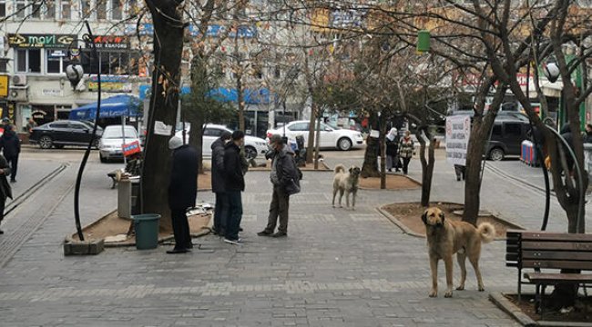 Tunceli'nin Pülümür ilçesinde  4,1 büyüklüğünde deprem