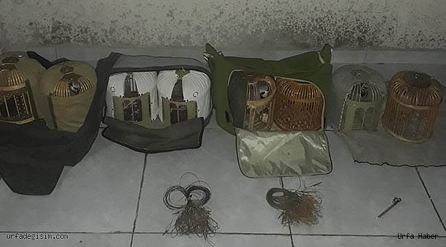 Urfa'da keklik avcılarına geçit verilmiyor
