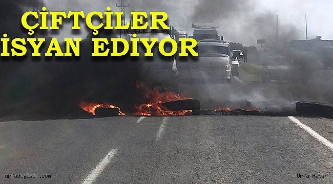 DEDAŞ'ı protesto eden çiftçiler yol kapattı!