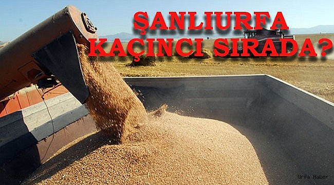 Güneydoğu'nun ihracat rakamları açıklandı
