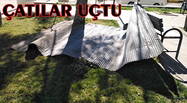Şanlıurfa'da şiddetli fırtına!