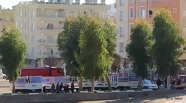 Urfa'da bıçaklı kavga: 1 yaralı, 1 gözaltı