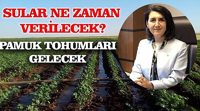 Çiftçiye iyi haber Açanal'dan geldi!