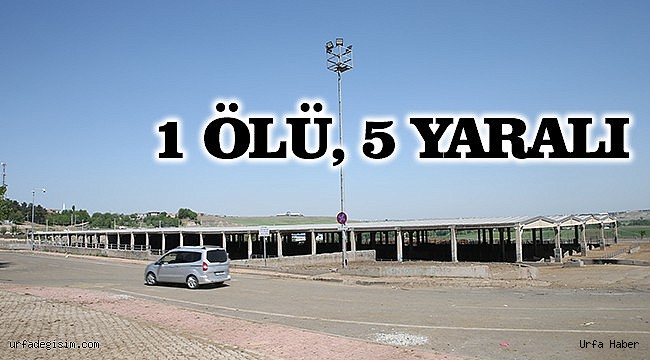 Hayvan pazarında silahlı kavga!