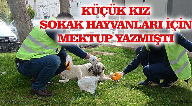 Küçük Dicle, Belediye Başkanını harekete geçirdi