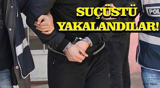 Rögar hırsızları yakayı ele verdi!