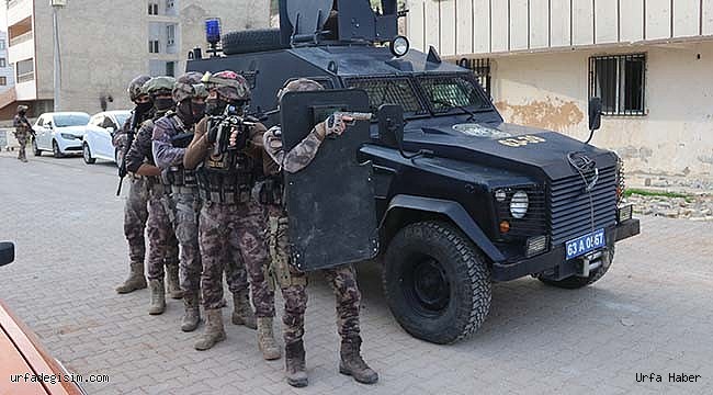 Şanlıurfa'da 220 polis ile dev operasyon