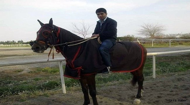 Urfalı Seyislerin Hipodumdaki Kanlı Kavgası: 1 Ölü