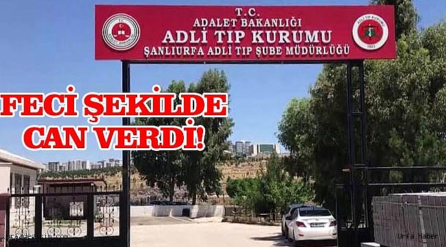 4. Kattan düşen kadın öldü!