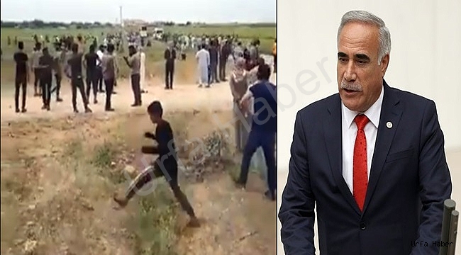 Aydınlık: Harran Ovası Bunu Hiç Haketmedi!