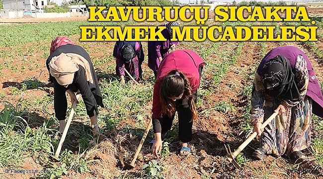 Bu Zahmetin Karşılığı 50 Lira!