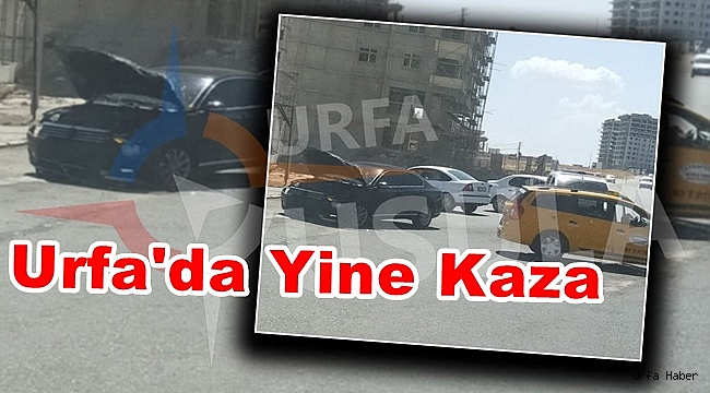 Şanlıurfa'da 2 araç kafa kafaya çarpıştı!