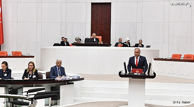 Şanlıurfa'daki intiharlar Meclis gündeminde!