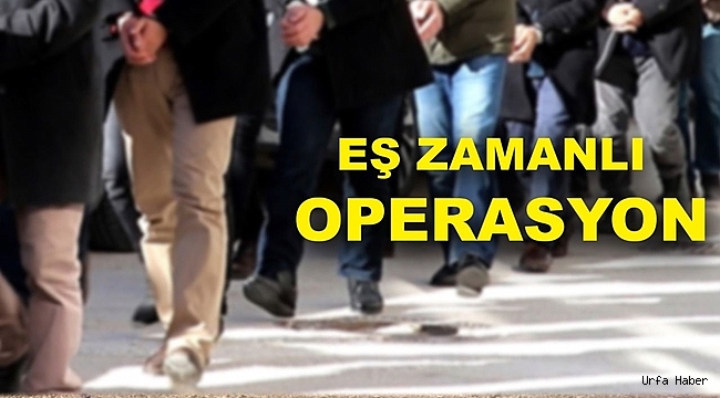 Urfa'nın da yer aldığı 11 ilde dev operasyon!