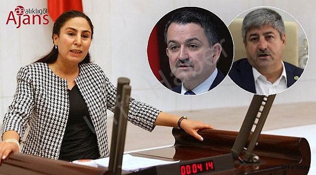 Vekil Sürücü Kuraklığı TBMM'ye taşıdı