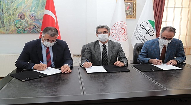 Eyyübiye’de İstihdam Seferberliği. İmzalar Atıldı, Sera Projesi Hayata Geçiyor.