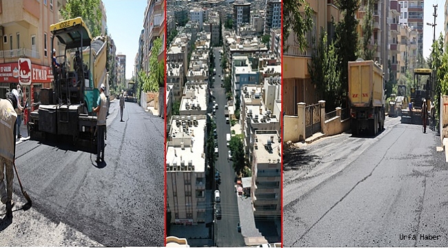Halili'ye Belediyesi, Asfalt Çalışmalarıyla İlçe'nin Çehresini Değiştiriyor