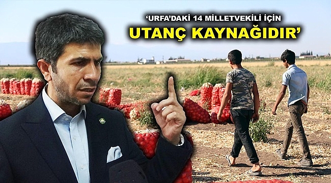 HÜDA PAR'lı Özaslan: Esir Kampına Koysanız O Kadar Perişan Yaşamazlar!