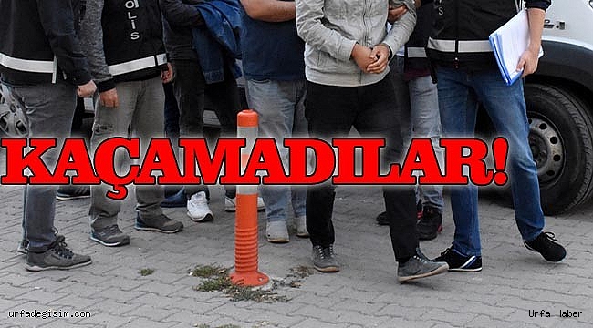 Şanlıurfa'da hırsızlık operasyonu!