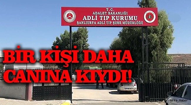 Şanlıurfa'da İntiharlar Durdurulamıyor!