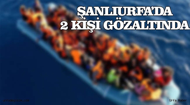 Şanlıurfa Göçmen Kaçakçılığı Operasyonu!