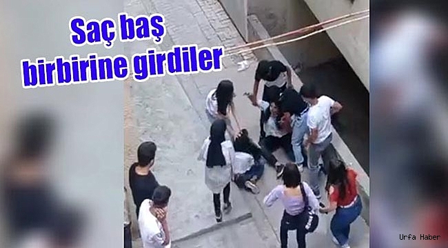 Urfa'da Kızlar Kavga Etti Erkekler İzledi!