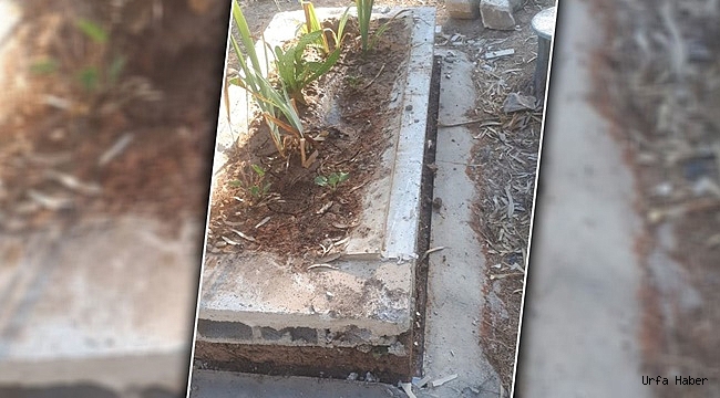 Urfa'da Ölüye'de Rahat Yok!