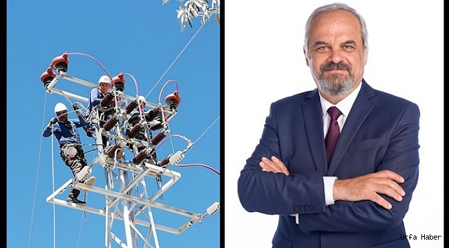 Fırat Edaş’ın ‘Özgür Kuşlar’ Projesiyle Göçmen Kuşlar Güvende