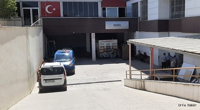 Küçük Çocuk Ağaç Altında Ölü Bulundu