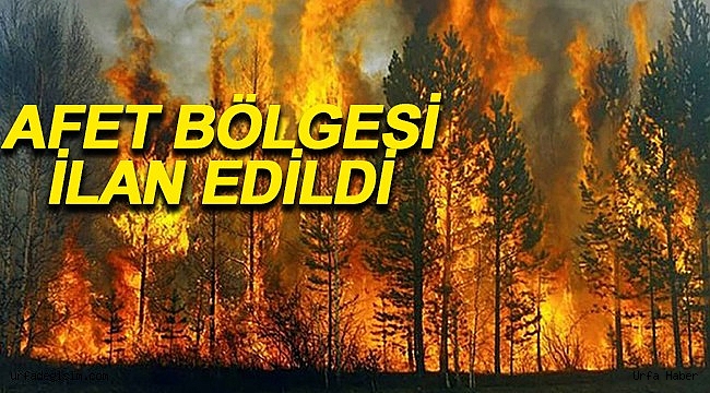 Orman Yangınları Bölgesiyle İlgili Flaş Gelişme!