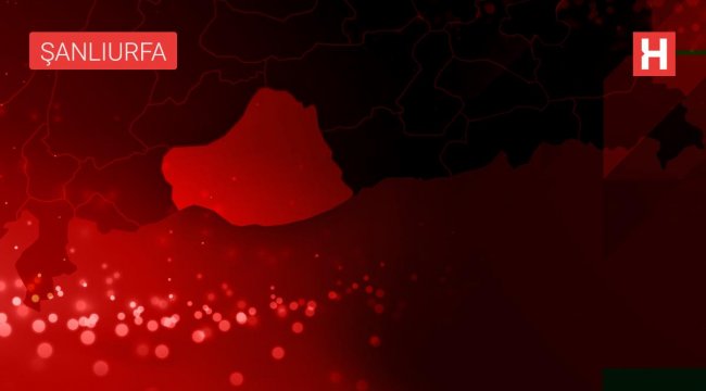 Şanlıurfa'da ağaçlık alanda erkek cesedi bulundu