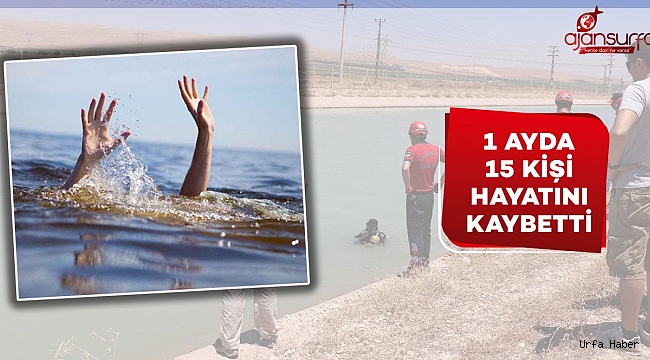 Urfa'da korkunç bilanço!