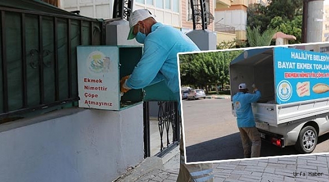 Her ay tonlarca ekmek toplanıyor (Video Haber)