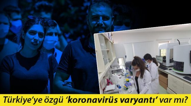 Koronavirüste Merak Edilen Sorulara Yanıt Verecek Çalışma