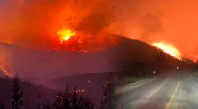 Milas'taki yangın Bodrum'a sıçradı! Vatandaşlar teknelerle tahliye edildi