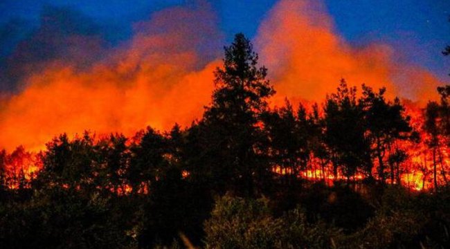 Orman yangınlarında son durum! Köyceğiz yangını kontrol altında; 6 kişi gözaltında