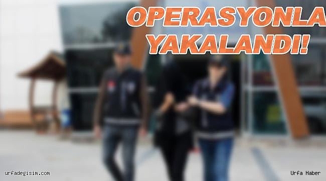 Şanlıurfa'da dolandırıcı kadın yakalandı!