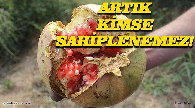 Şanlıurfa'nın Bir Ürünü Daha Tescillendi!