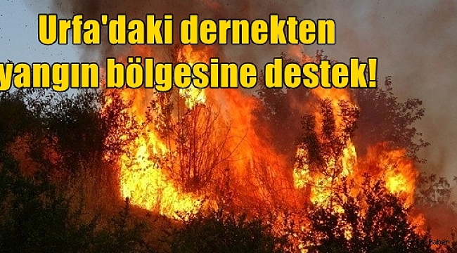 Urfa'daki dernekten yangın bölgesine destek!
