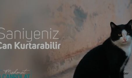 Haliliye Belediyesinden anlamlı video!