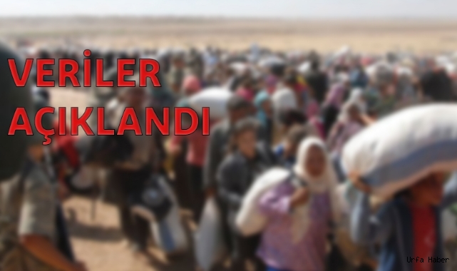 İşte Urfa'daki Suriyeli sayısı