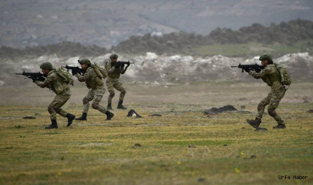 Sınırda hareketlilik! Etkisiz hale getirildiler